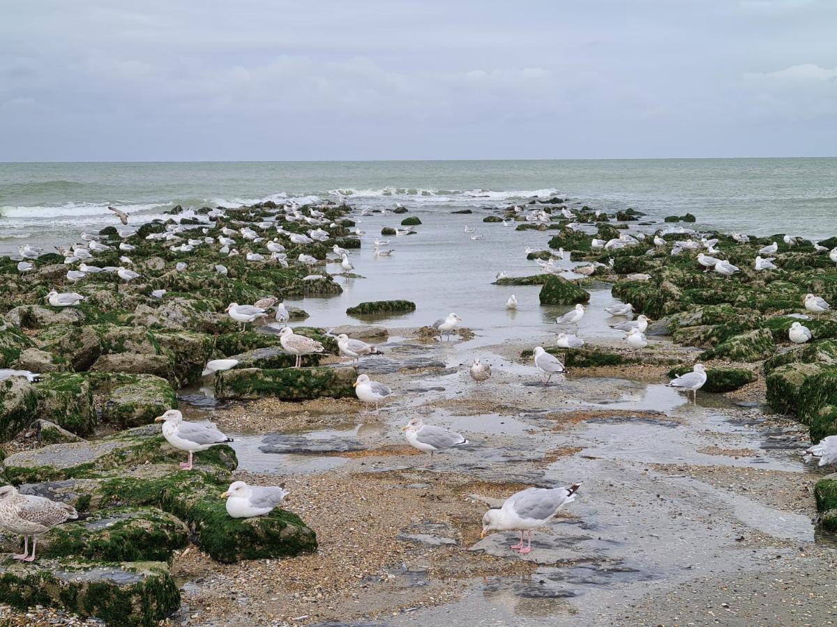 Residence Jersey Koksijde Dış mekan fotoğraf
