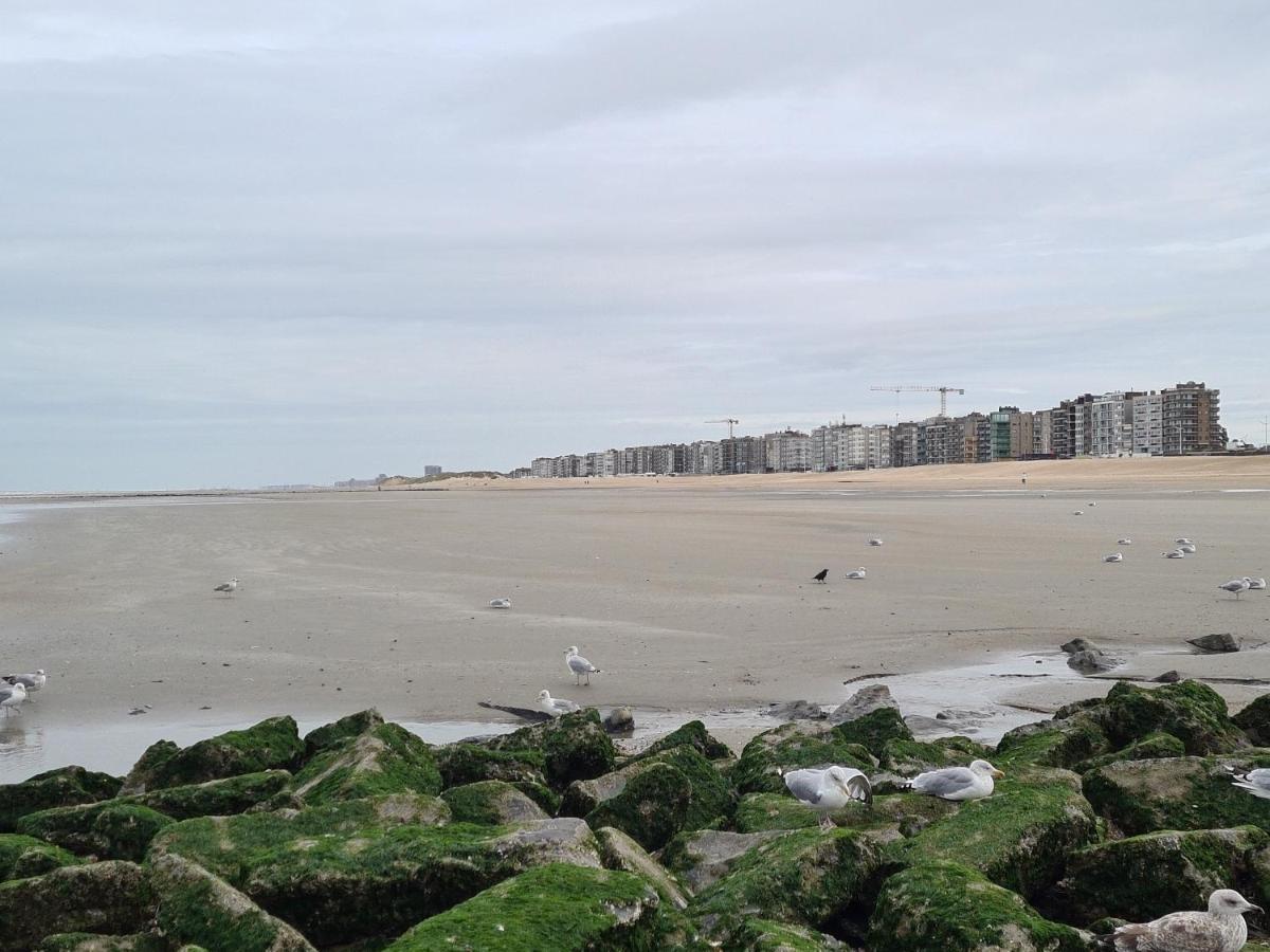 Residence Jersey Koksijde Dış mekan fotoğraf